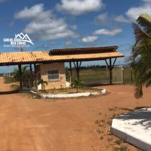 Terreno de mil metros quadrados, murado, próximo ao aeroporto Glauber Rocha
